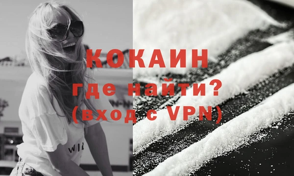 ГАЛЛЮЦИНОГЕННЫЕ ГРИБЫ Белокуриха