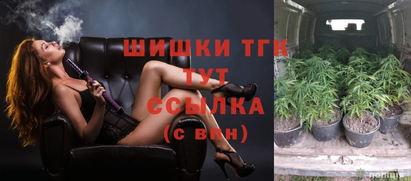 2c-b Богданович