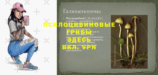 jwh Богородицк